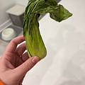 fresh bok choy