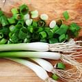 chopped green onions