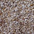 sesame seeds