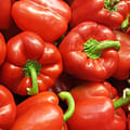 red bell pepper