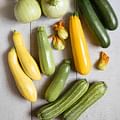 zucchini