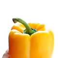 bell pepper