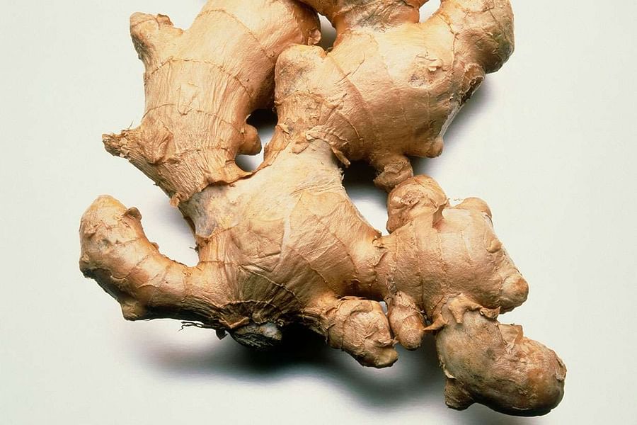 Ginger