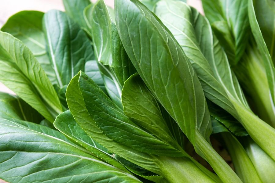 fresh bok choy
