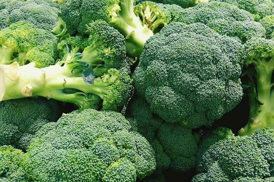 fresh broccoli