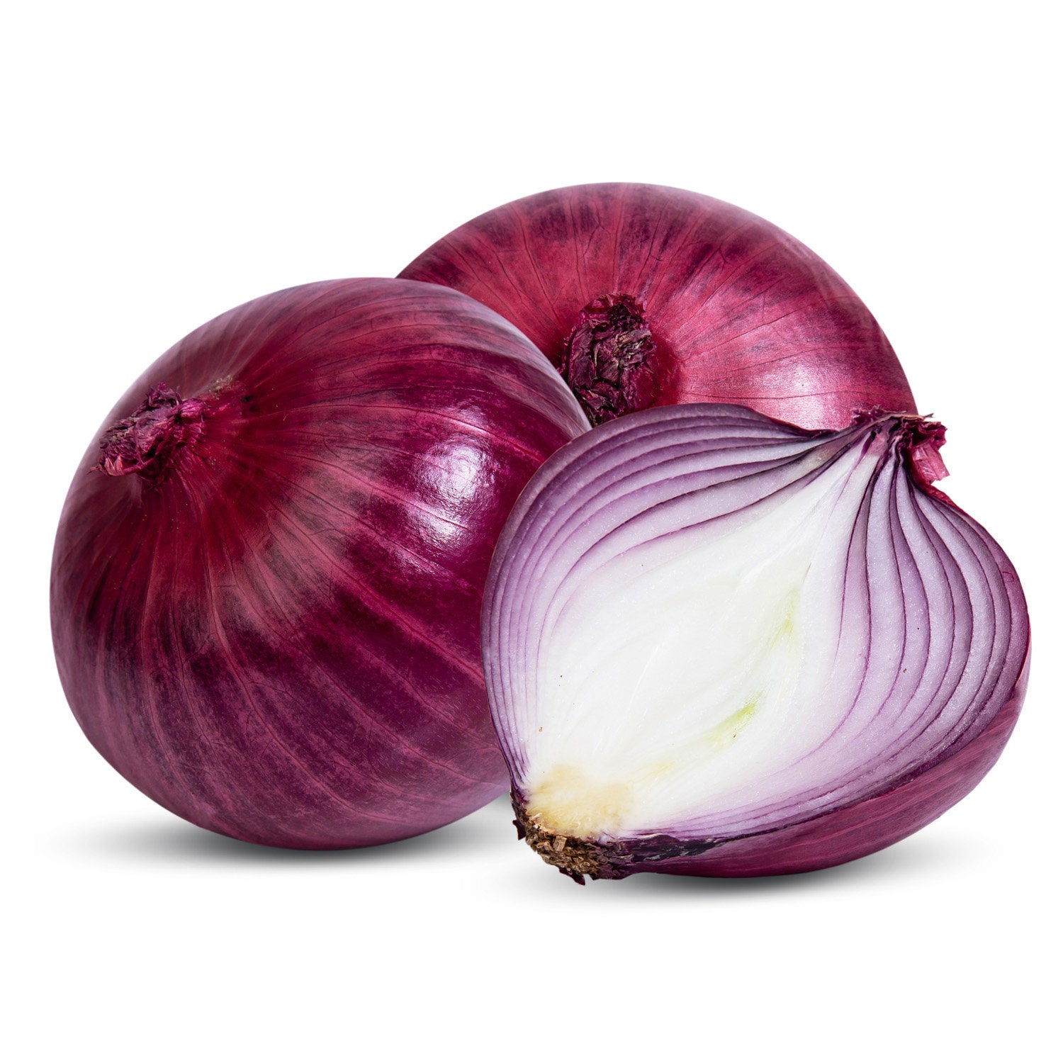 fresh red onion