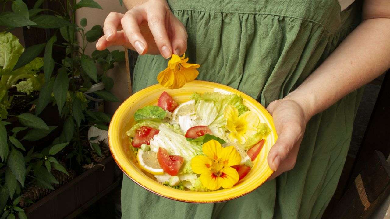 edible flowers on food