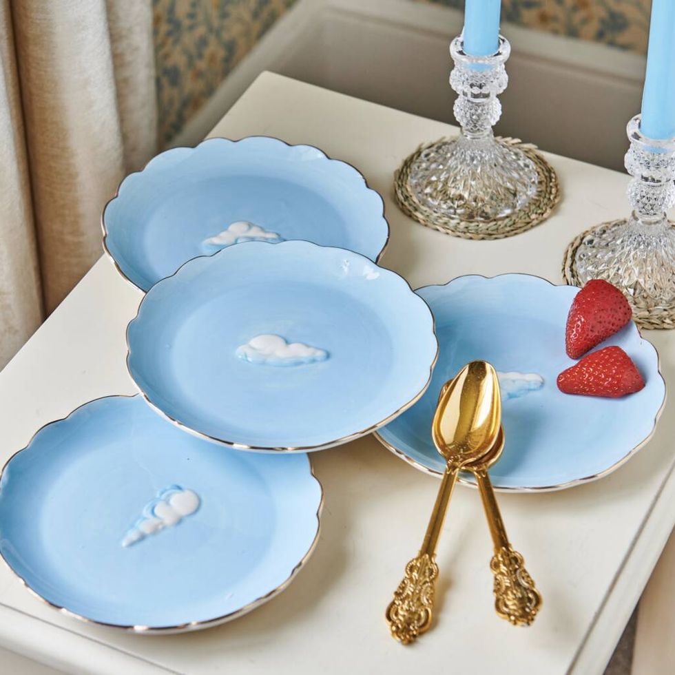 stylish dinner plates